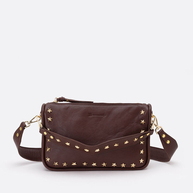 Sandy Stars Testa