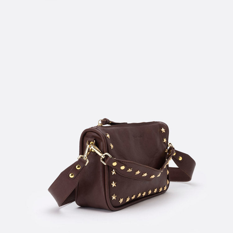Sandy Stars Testa