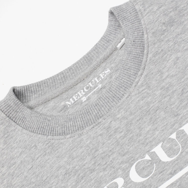 Sudadera Logo Gris