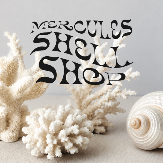 Mercules Shell Shop