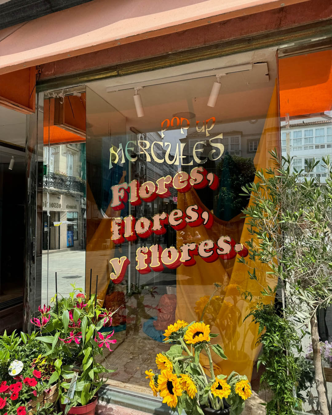 Pop up en Coruña – Mercules