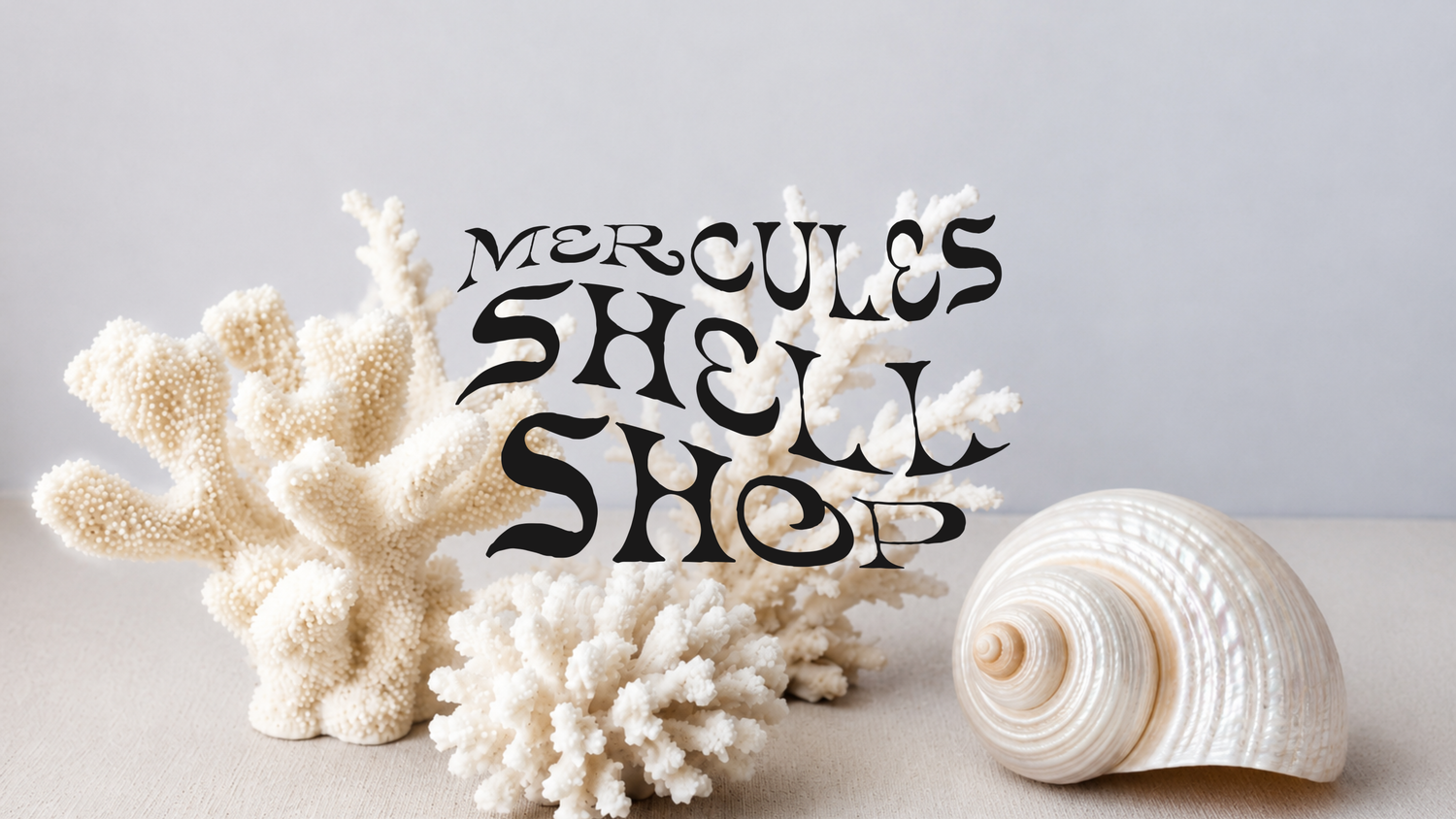 Shell Shop