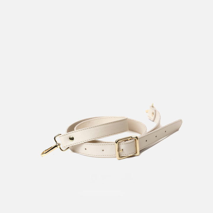 Asa hebilla ancha Bone