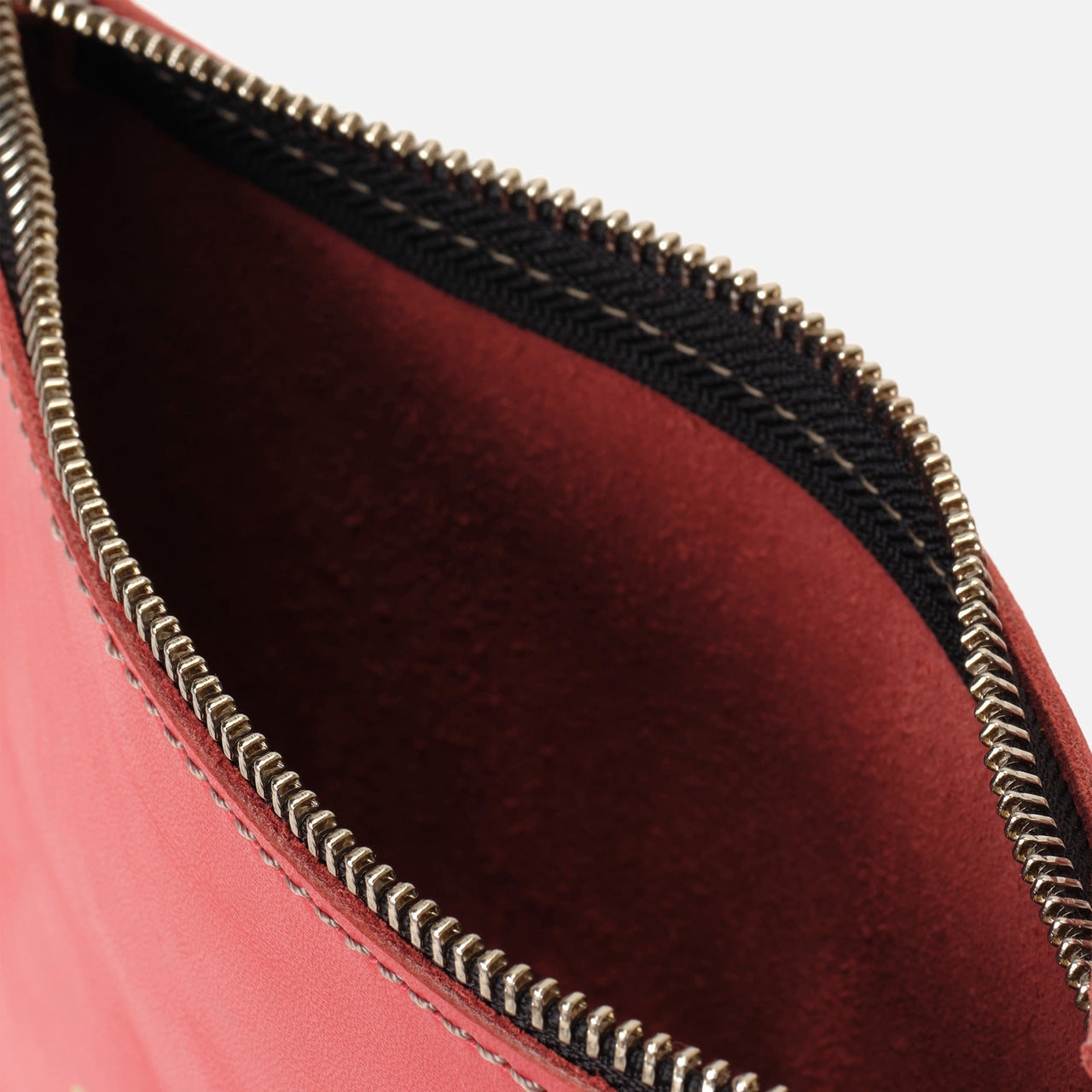 Zipper Shell Coral